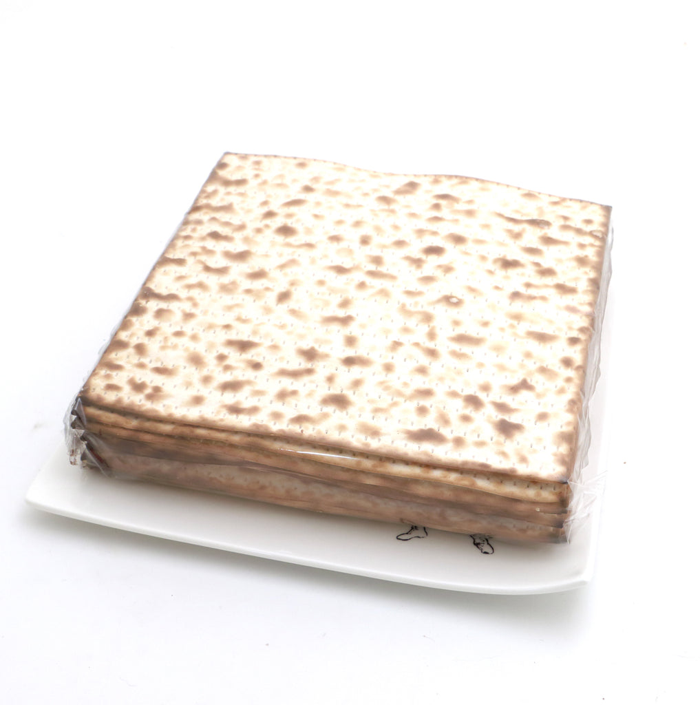Matzo plate, Matzo Matzo Man, Matzah plate, Passover, Judaica, Upcycled