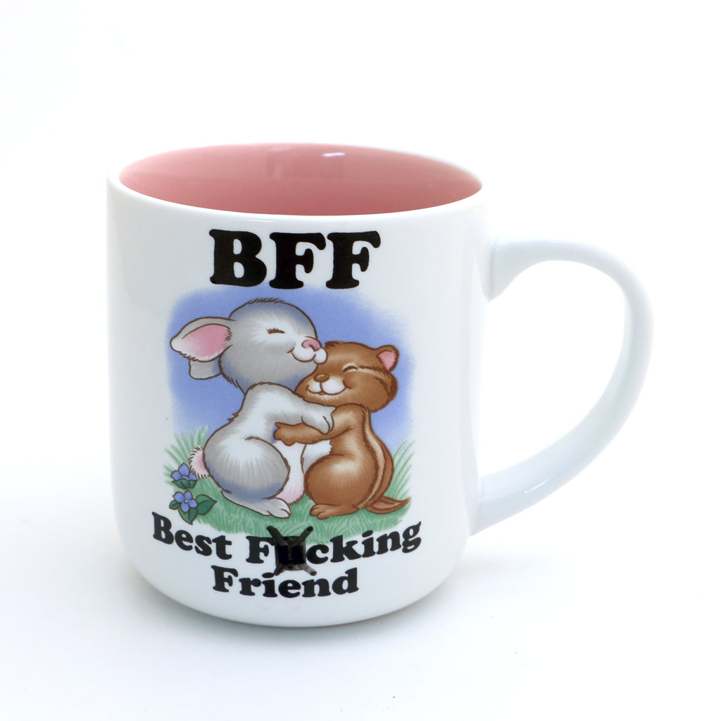 BFF mug, mature language, funny friendship mug