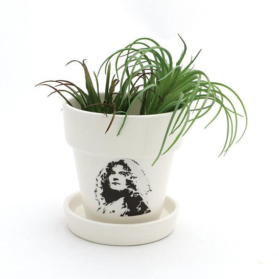 What kind of plant? A ROBERT PLANT! When it comes to puns, all that glitters is gold- great gift fo