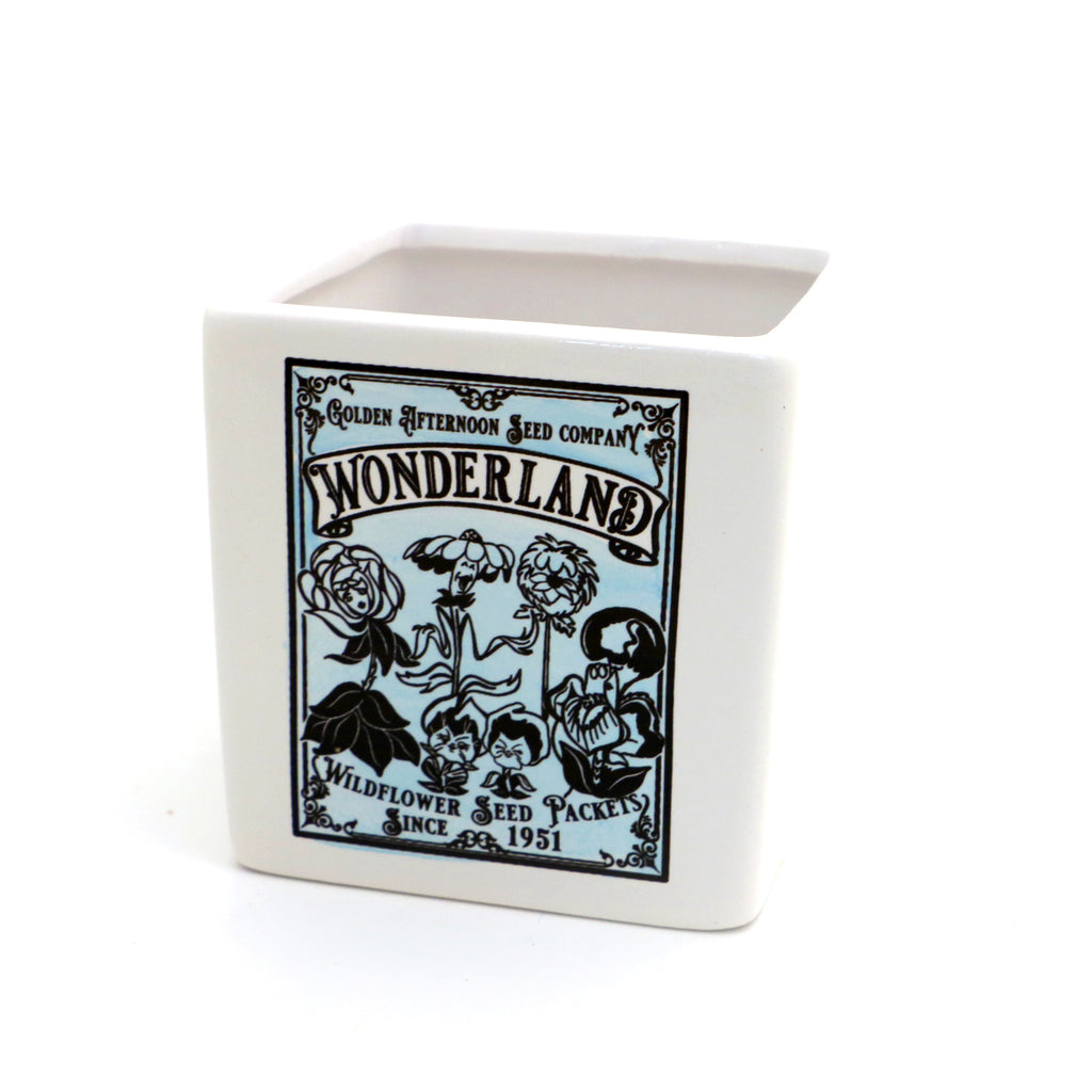 Alice in Wonderland,indoor planter, container