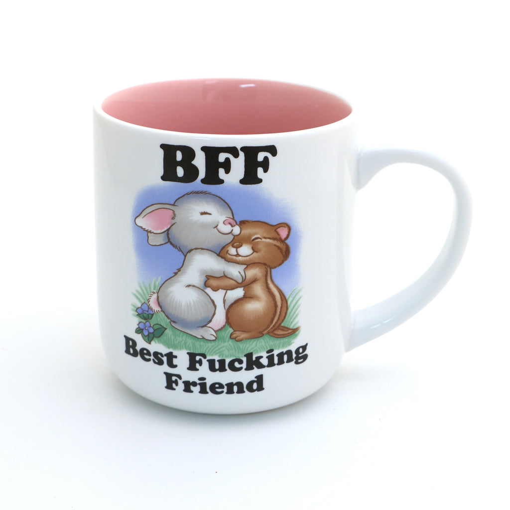 BFF mug, mature language, funny friendship mug