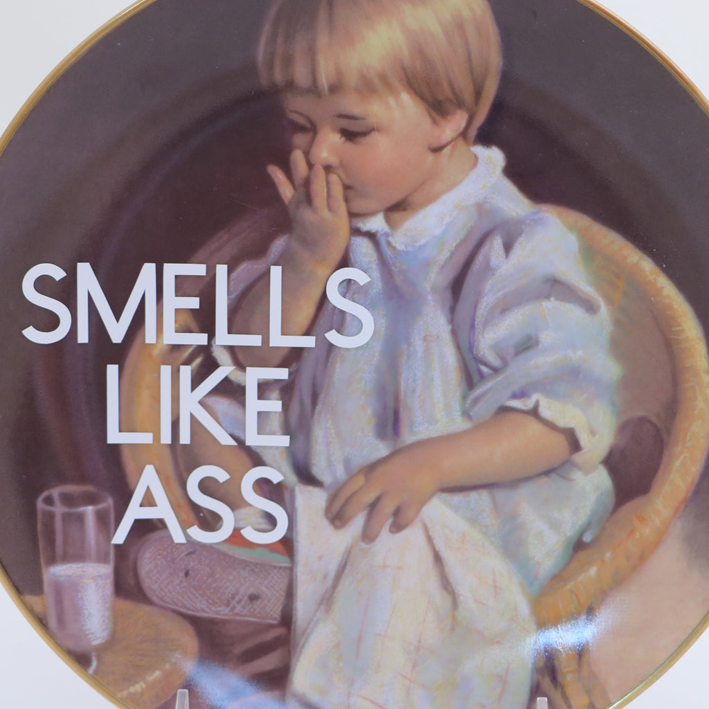 Smells like Ass, Dirty Dishes Collection, upcycled vintage plates