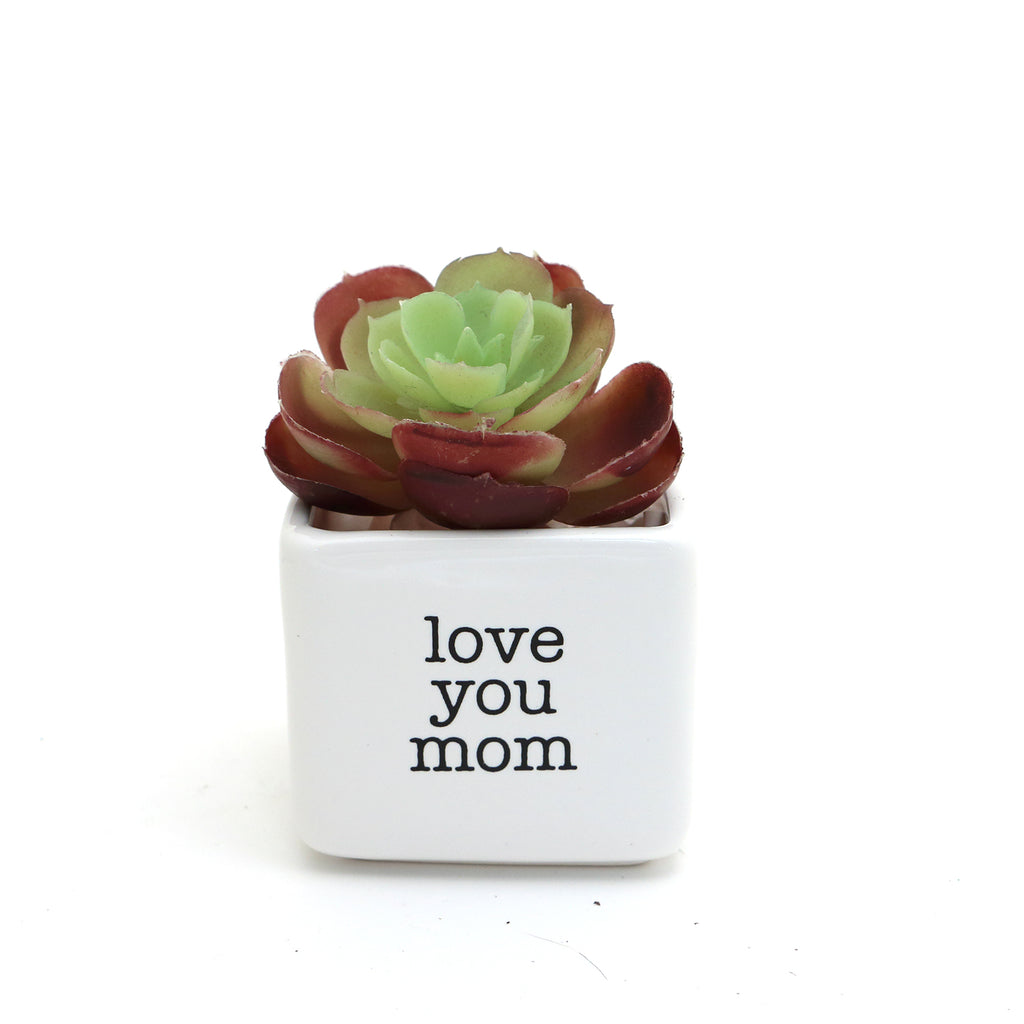 Love you mom, mini planter or succulent pot. Mother's Day gift