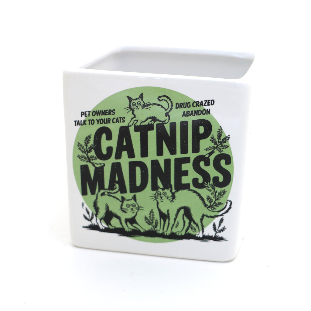 Catnip Madness Cat planter, small indoor planter, gift for cat lover