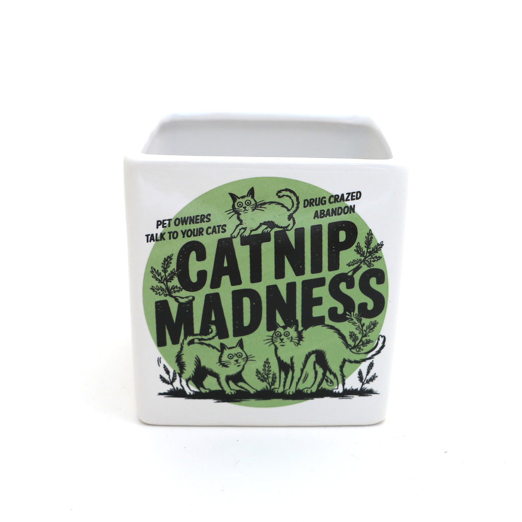 Catnip Madness Cat planter, small indoor planter, gift for cat lover