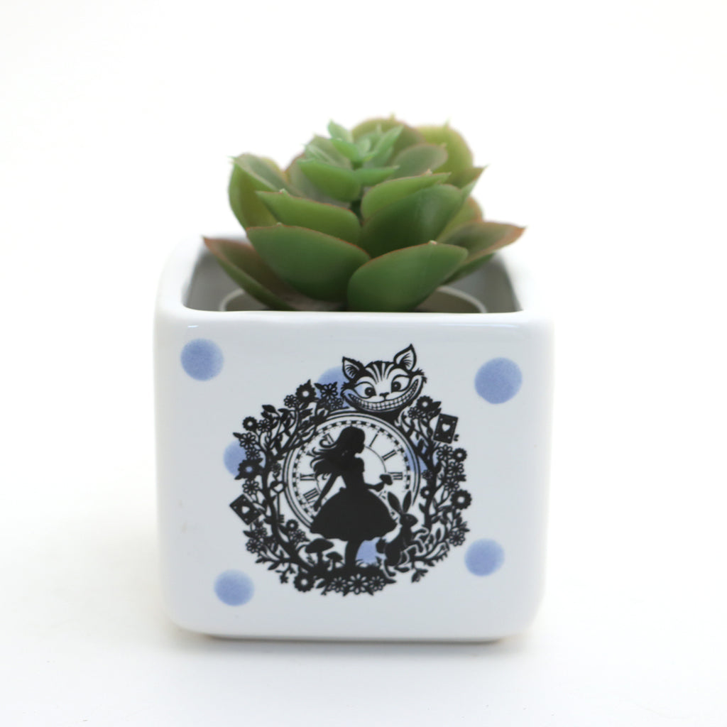 Alice in Wonderland mini planter, small succulent planter