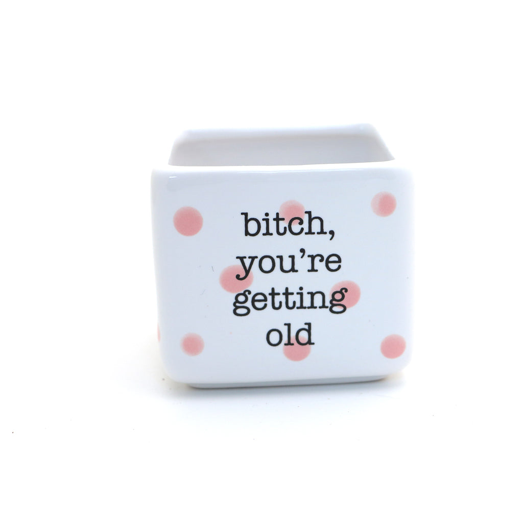 Mini planter or candle holder, Bitch you're Old, Birthday gift for her