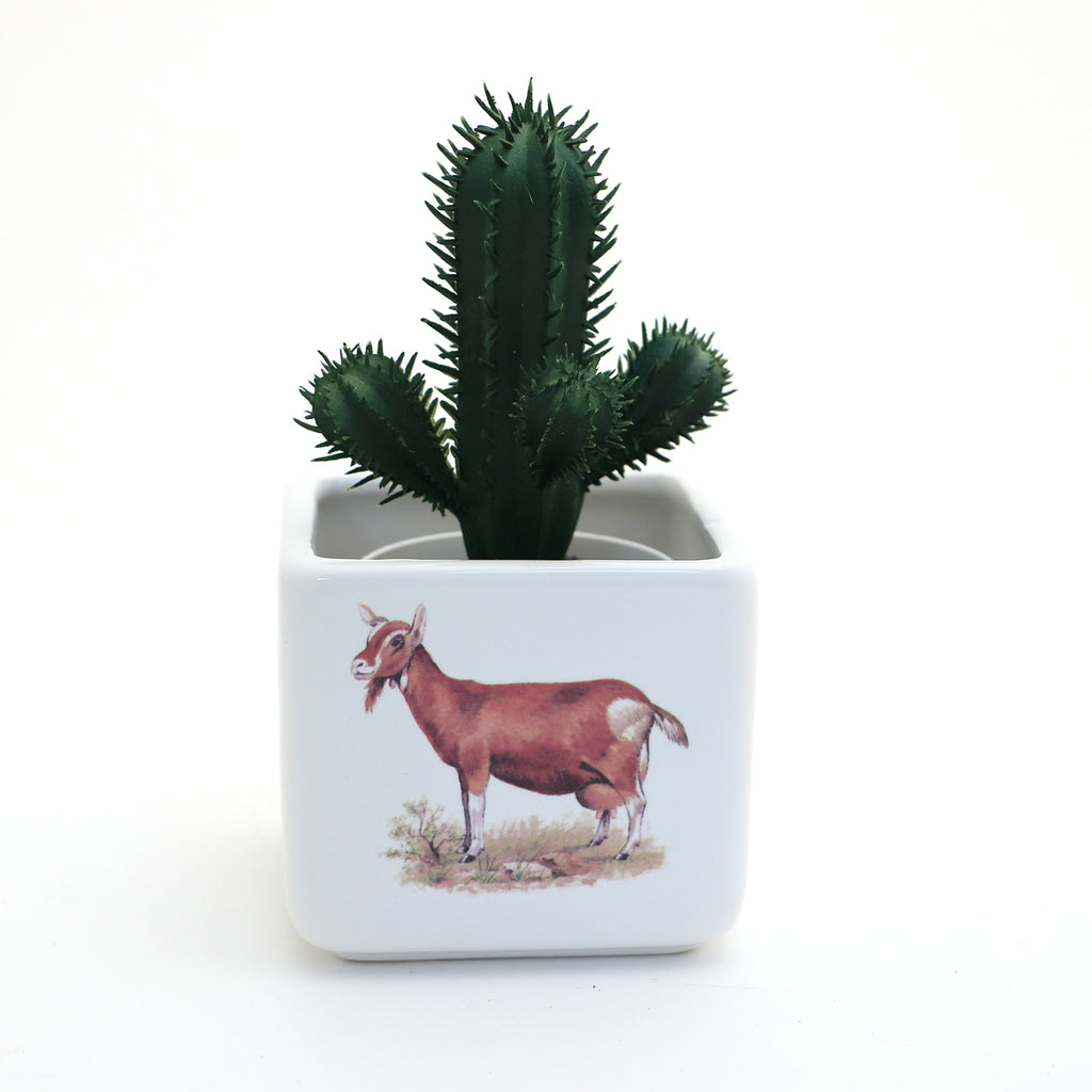 goat succulent planter Mini planter or candle holder, Goat, colored vintage decal – LennyMud