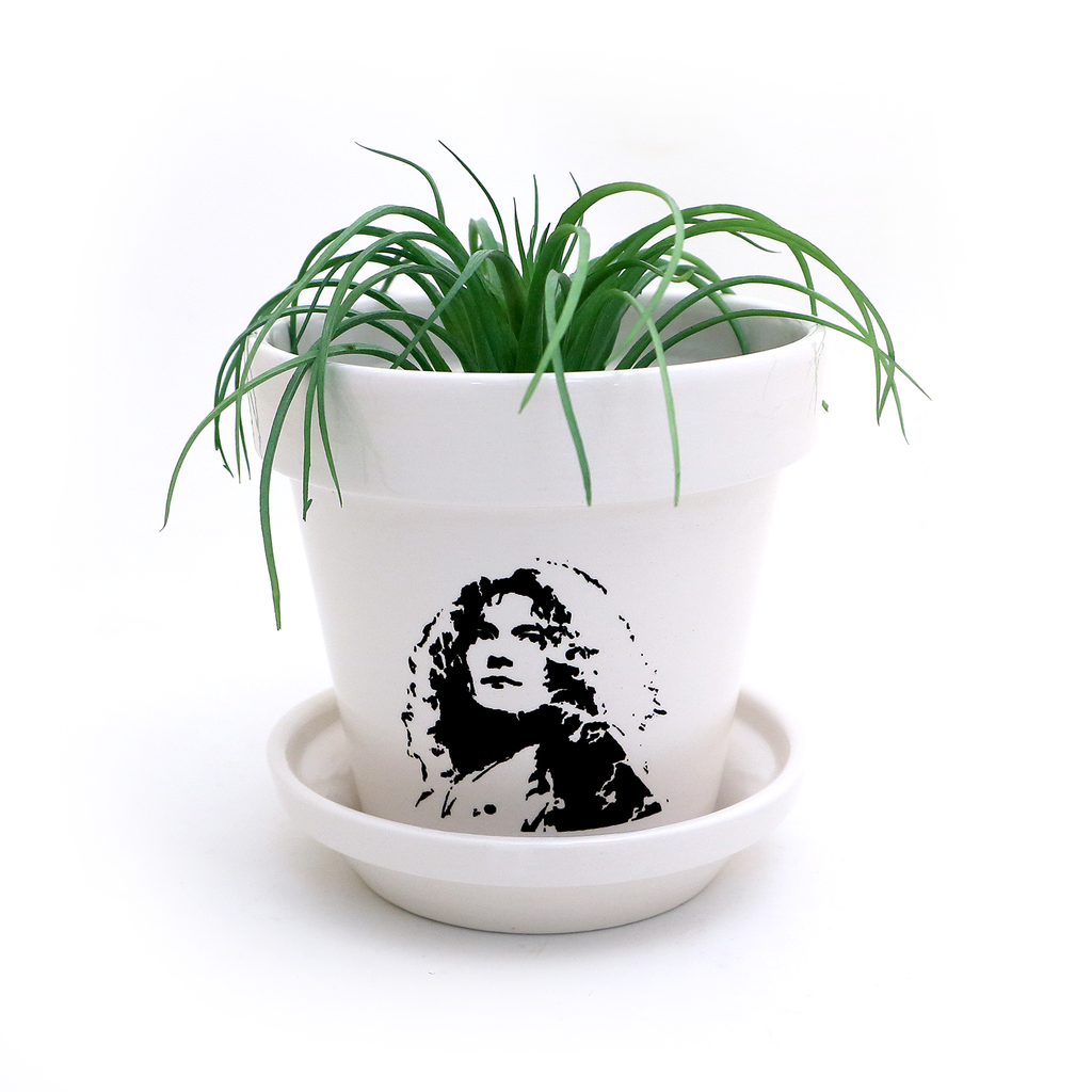 Robert Plant Planter with dish, handmade ceramic