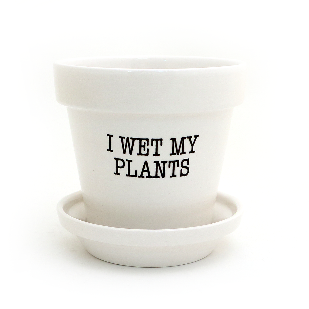 I Wet my Plants, small planter with dish, funny planter, gift for plant mom