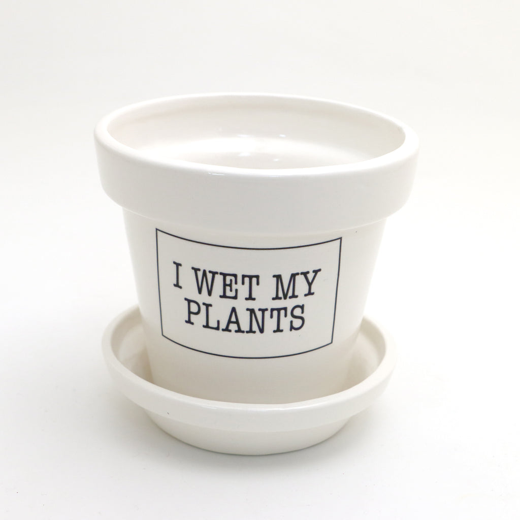 I Wet my Plants, small planter with dish, funny planter, gift for plant mom