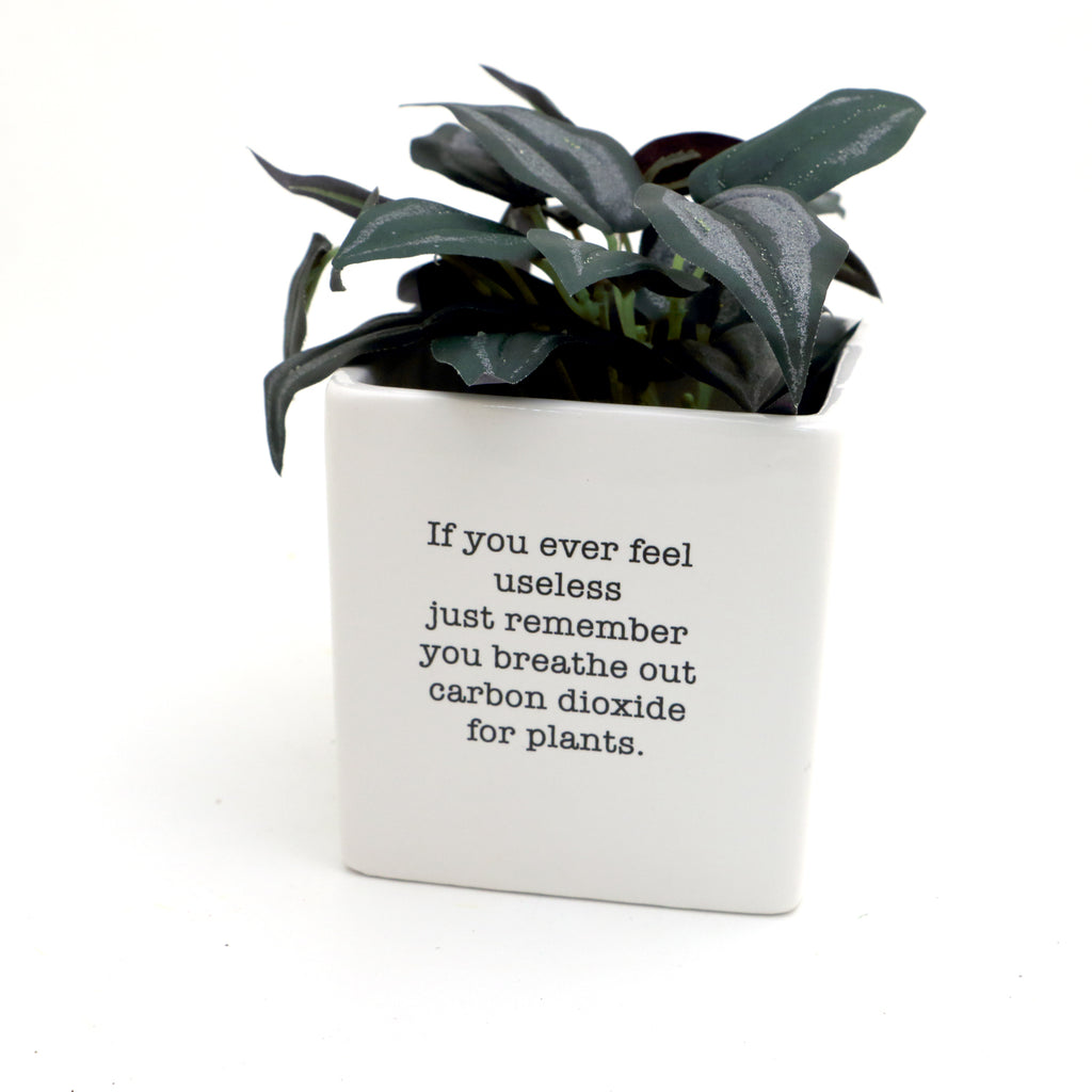 Useful planter, inspirational gift