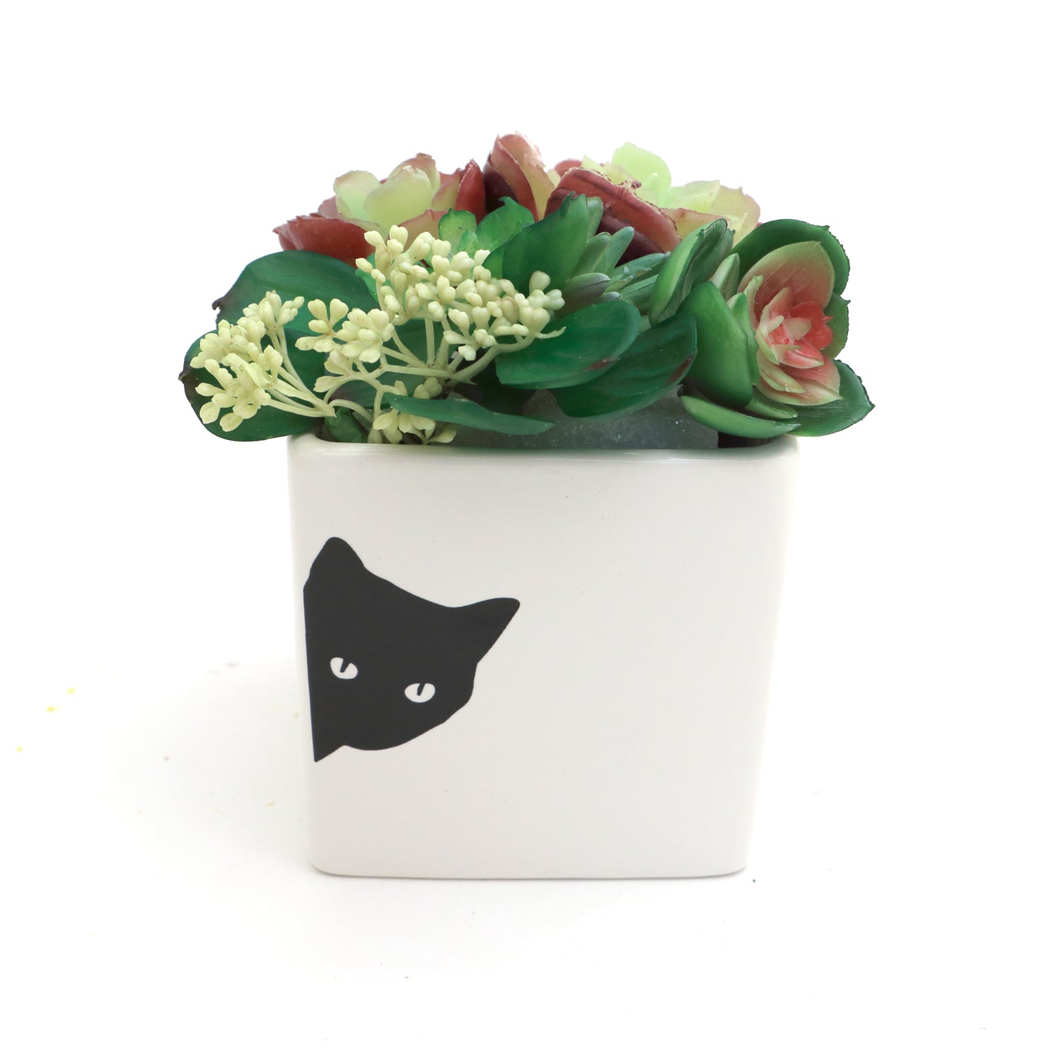 black cat succulent Cat planter, small indoor planter, gift for cat lover – LennyMud