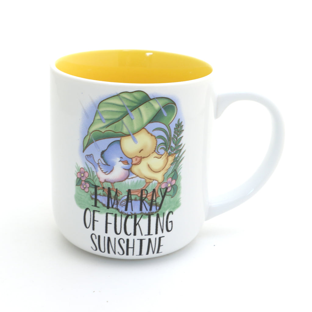 Ray of F'n Sunshine Bird and Duck mug, funny spring gift, mature language