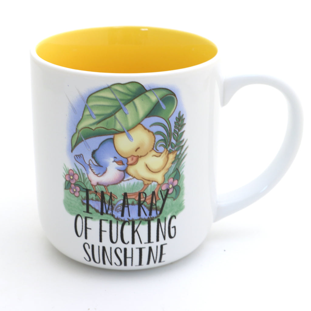 Ray of F'n Sunshine Bird and Duck mug, funny spring gift, mature language