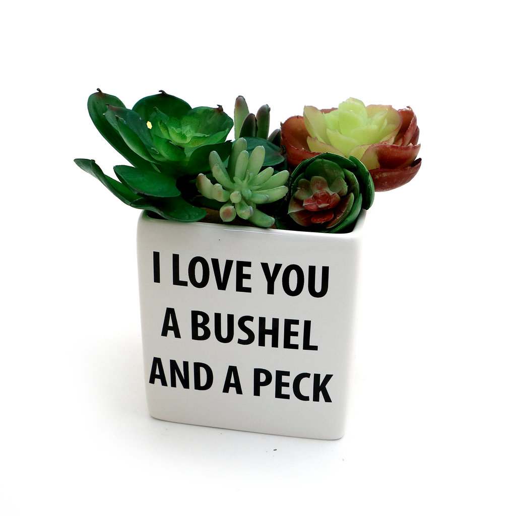 Bushel and a Peck Planter, indoor planter, container